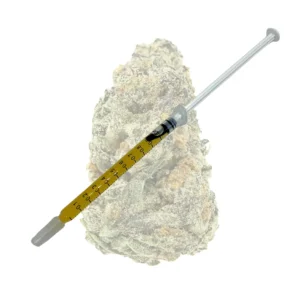 PURPLE PUNCH – SYRINGE